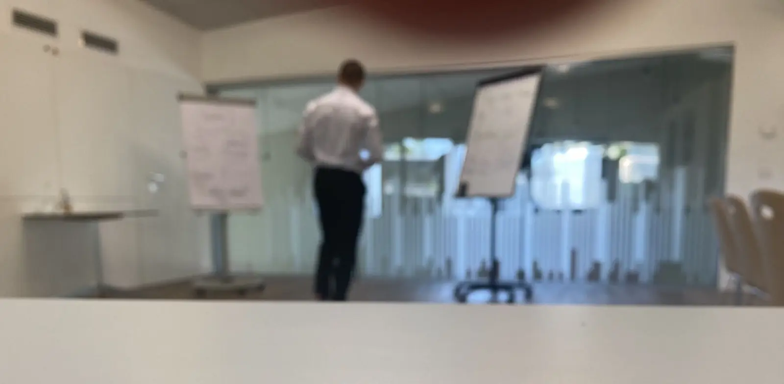 Raphael Lugmayr bei einem Training vor Flipcharts in einem Seminarraum